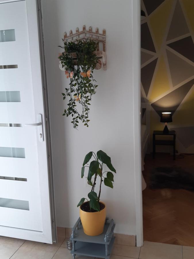 Apartment Jardin With Free Cowered Parking Zadar Exterior photo